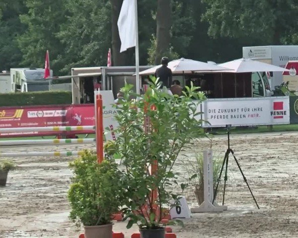 Reitturnier Münster-Handorf | Westfalen-Woche 2024