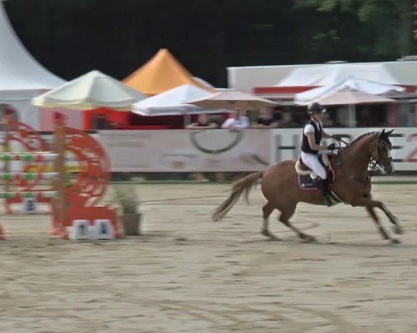 Reitturnier Münster-Handorf | Westfalen-Woche 2024