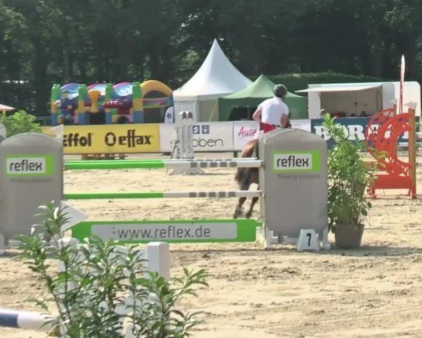 Reitturnier Münster-Handorf | Westfalen-Woche 2024