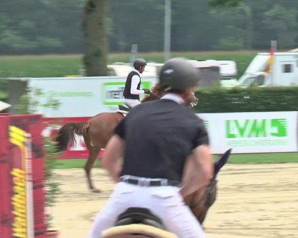 Reitturnier Münster-Handorf | Westfalen-Woche 2024