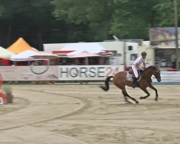 Reitturnier Münster-Handorf | Westfalen-Woche 2024