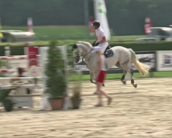 Reitturnier Münster-Handorf | Westfalen-Woche 2024