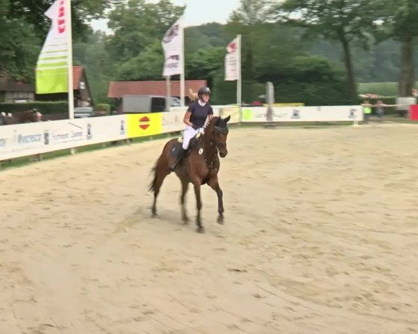 Reitturnier Münster-Handorf 2024