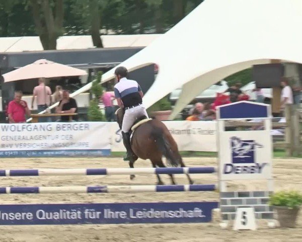 Reitturnier Münster-Handorf | Westfalen-Woche 2024