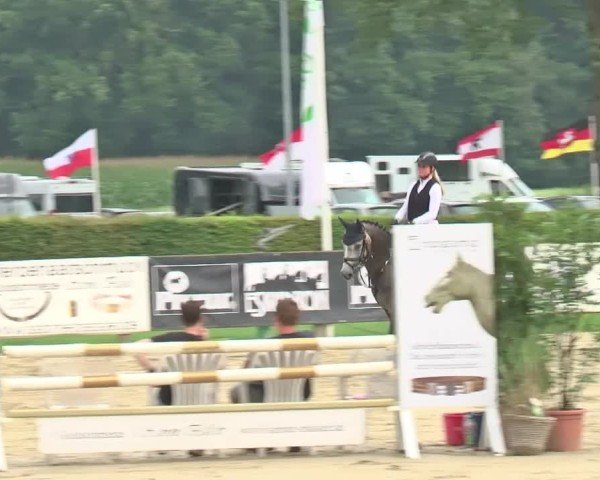 Reitturnier Münster-Handorf | Westfalen-Woche 2024