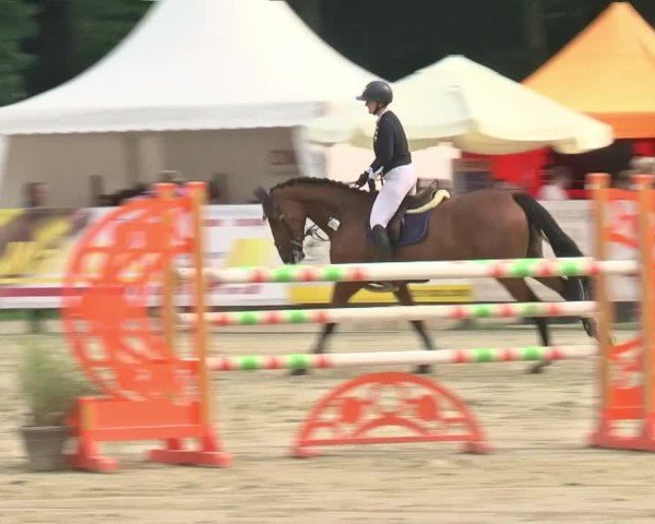 Reitturnier Münster-Handorf | Westfalen-Woche 2024