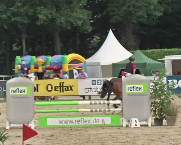 Reitturnier Münster-Handorf | Westfalen-Woche 2024