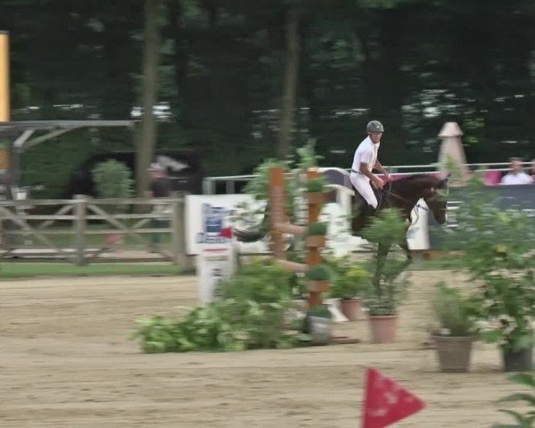 Reitturnier Münster-Handorf 2024