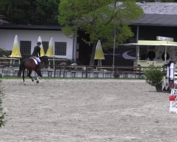 Halver - Frühjahrsturnier 2013