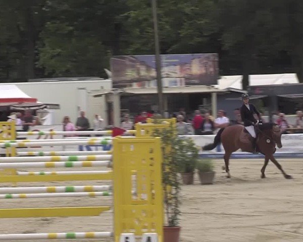 Reitturnier Münster-Handorf | Westfalen-Woche 2024