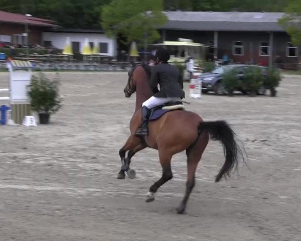 Halver - Frühjahrsturnier 2013