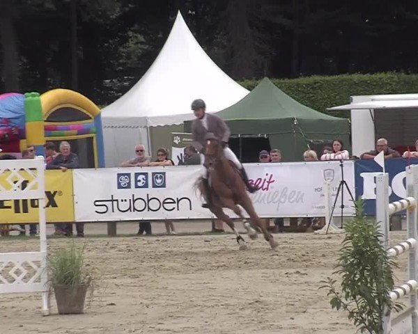 Reitturnier Münster-Handorf | Westfalen-Woche 2024