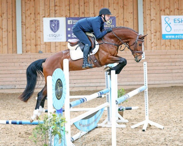 stallion Agamix Legend Z (Zangersheide riding horse, 2018, from Aganix du Seigneur)