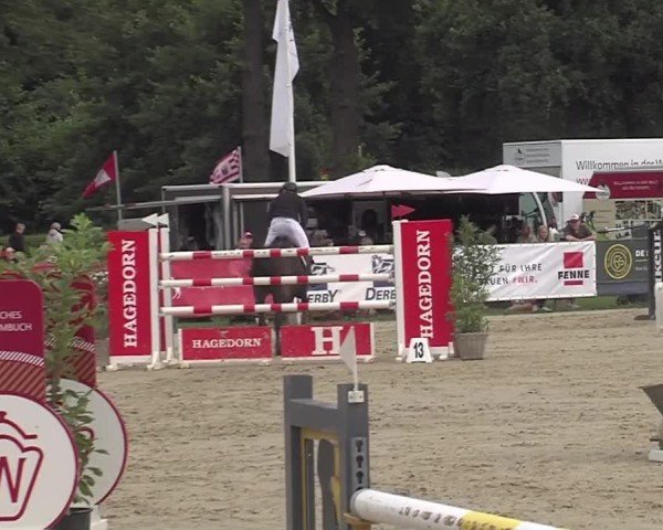Reitturnier Münster-Handorf | Westfalen-Woche 2024