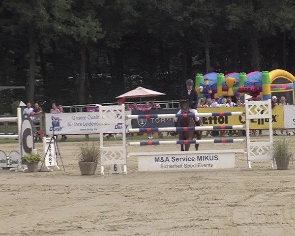 Reitturnier Münster-Handorf | Westfalen-Woche 2024