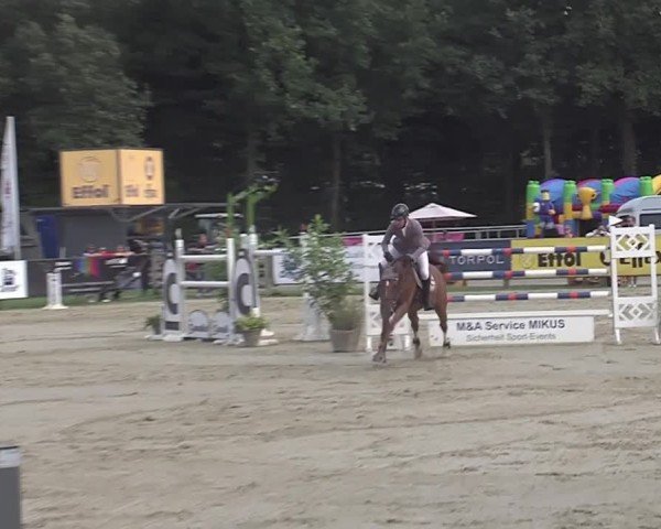 Reitturnier Münster-Handorf | Westfalen-Woche 2024