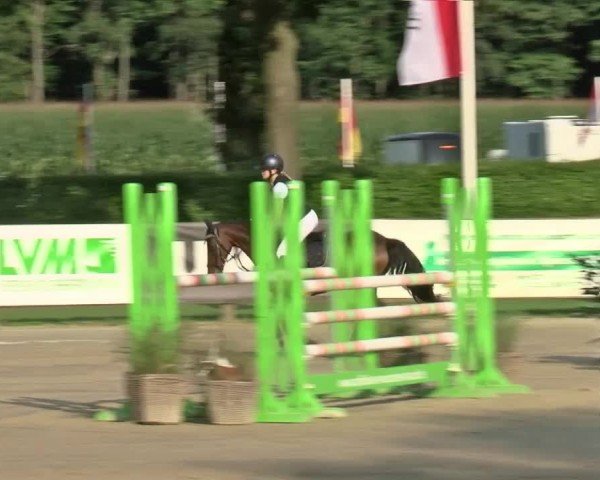 Reitturnier Münster-Handorf | Westfalen-Woche 2024
