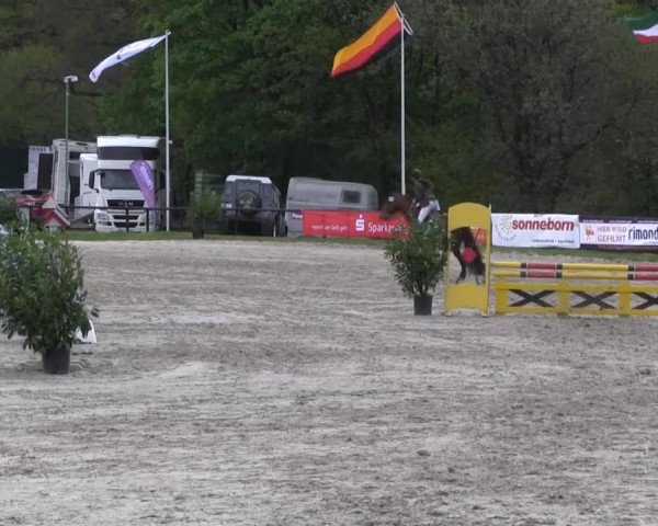 Halver - Frühjahrsturnier 2013