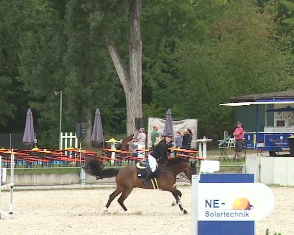 Reitturnier Grafenrheinfeld/Ufr. 2024