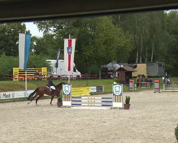 Reitturnier Grafenrheinfeld/Ufr. 2024