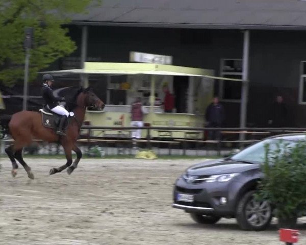 Halver - Frühjahrsturnier 2013