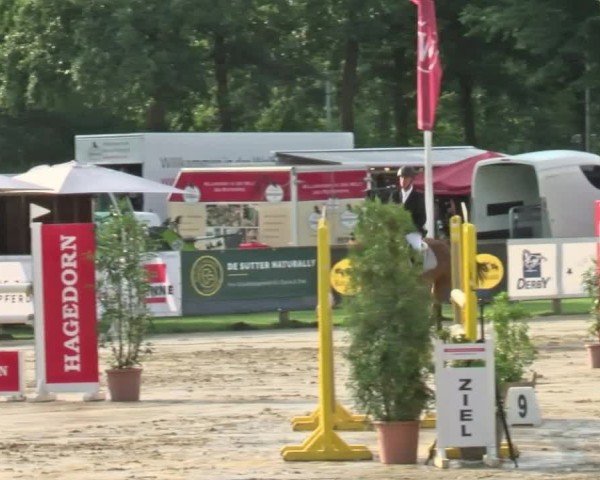 Reitturnier Münster-Handorf | Westfalen-Woche 2024
