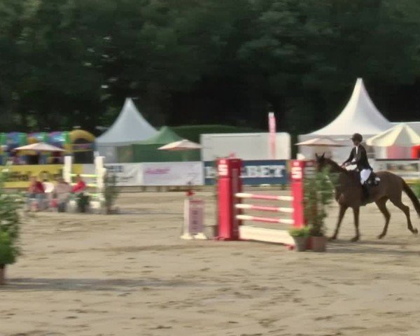 Reitturnier Münster-Handorf 2024
