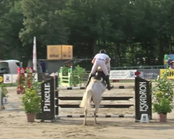 Reitturnier Münster-Handorf | Westfalen-Woche 2024