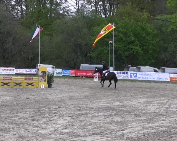 Halver - Frühjahrsturnier 2013