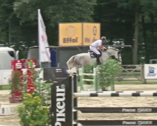 Reitturnier Münster-Handorf | Westfalen-Woche 2024