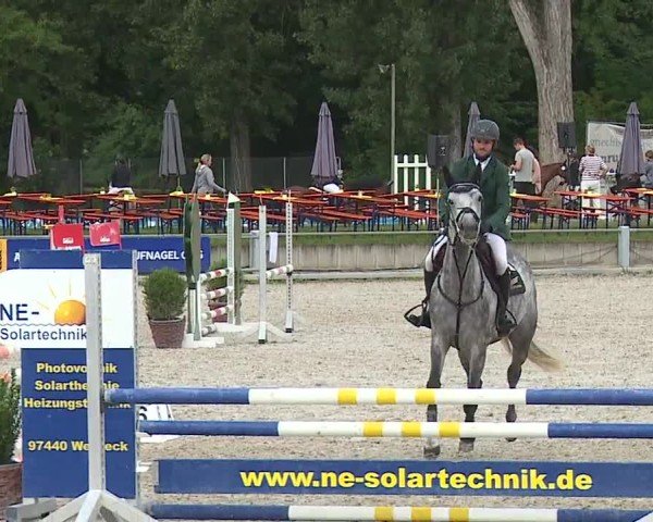 Reitturnier Grafenrheinfeld/Ufr. 2024