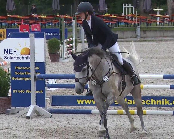 Reitturnier Grafenrheinfeld/Ufr. 2024