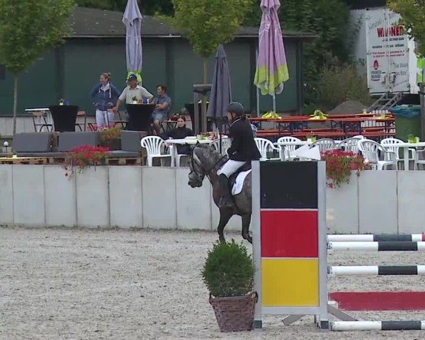 Reitturnier Grafenrheinfeld/Ufr. 2024