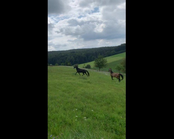 Video of Vespers