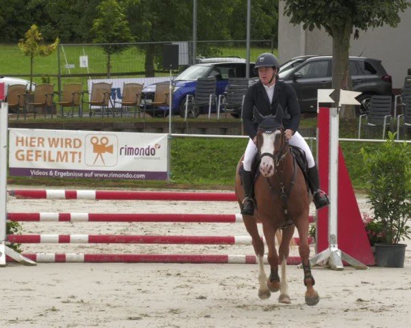 Reitturnier Oberderdingen 2024