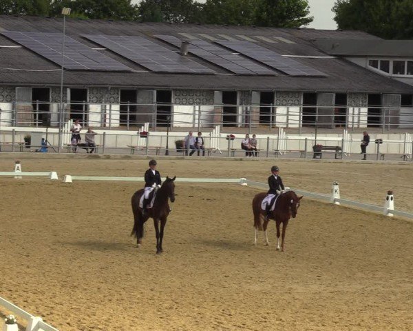 Reitturnier Castrop-Rauxel/Ober-Castrop 2024