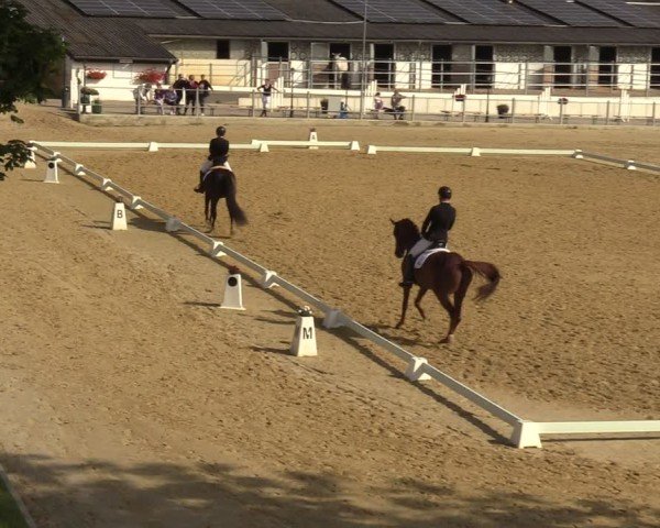 Reitturnier Castrop-Rauxel/Ober-Castrop 2024