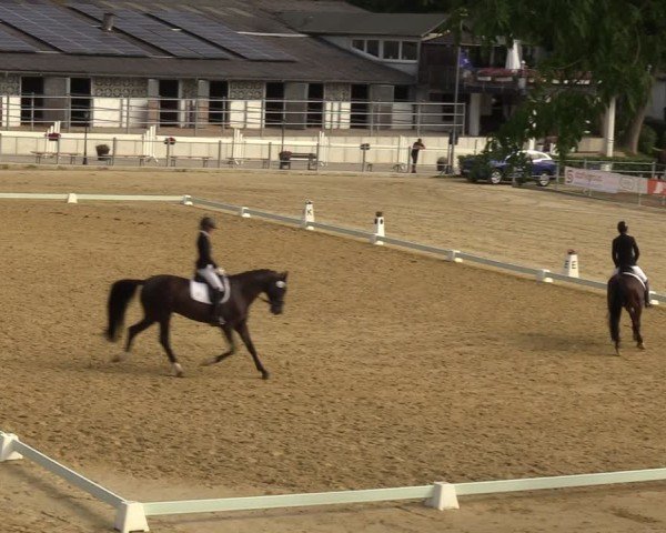 Reitturnier Castrop-Rauxel/Ober-Castrop 2024