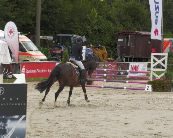 Reitturnier Oberderdingen 2024