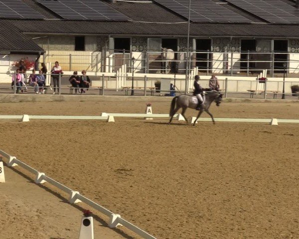 Reitturnier Castrop-Rauxel/Ober-Castrop 2024