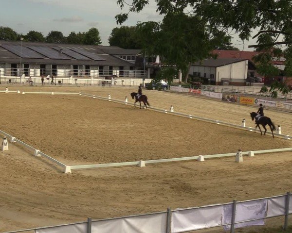 Reitturnier Castrop-Rauxel/Ober-Castrop 2024