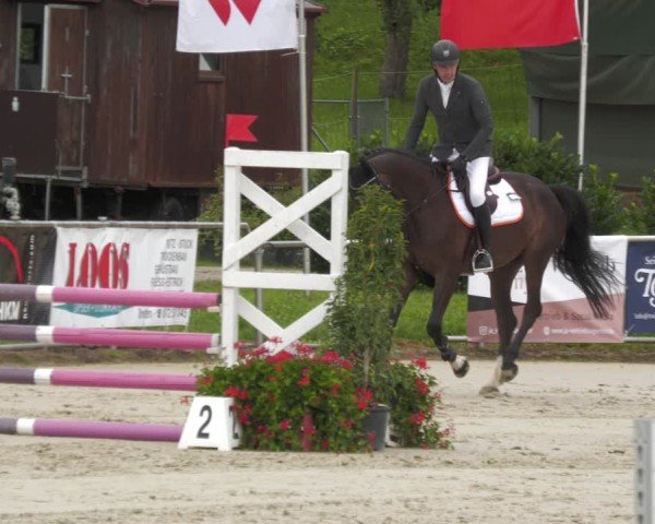 Reitturnier Oberderdingen 2024