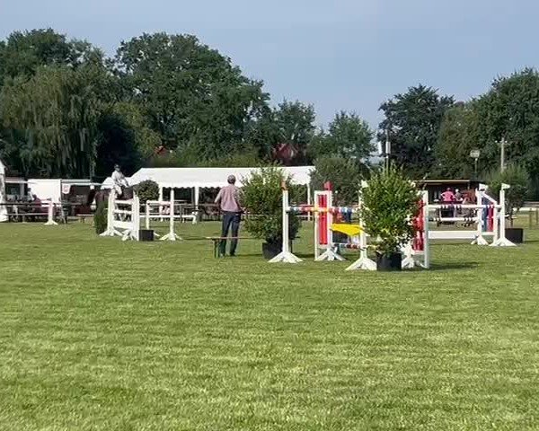 Reitturnier Schwarme 2024