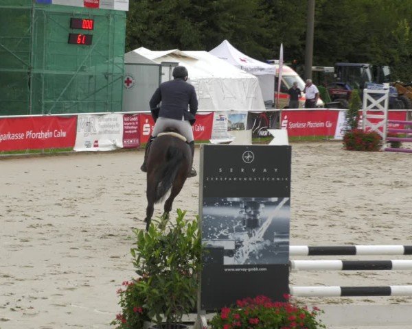 Reitturnier Oberderdingen 2024