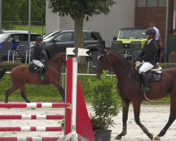 Reitturnier Oberderdingen 2024