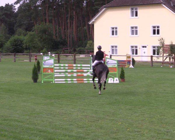 Reitturnier Niemegk / Neuendorf 2024