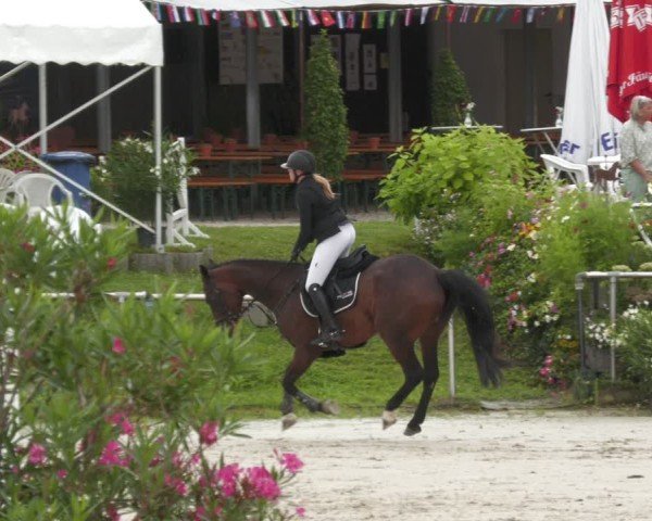 Reitturnier Oberderdingen 2024