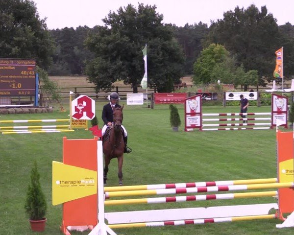 Reitturnier Niemegk / Neuendorf 2024