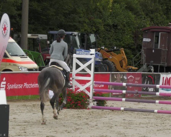 Reitturnier Oberderdingen 2024