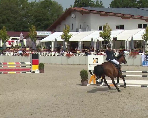 Reitturnier Grafenrheinfeld/Ufr. 2024
